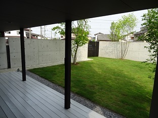DSC02114.jpg
