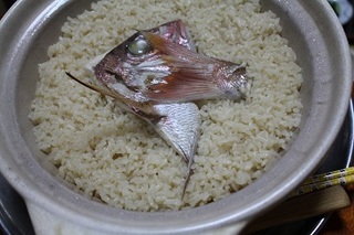 IMG_1527taimesi.jpg