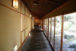 IMG_2675.jpg