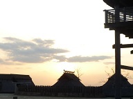 P1040854yoshino.jpg