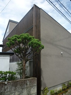 P1070754hako.jpg