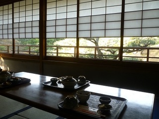 P1130069asa.jpg