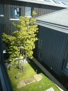 P1150001.jpg
