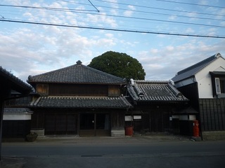 P1150010.jpg